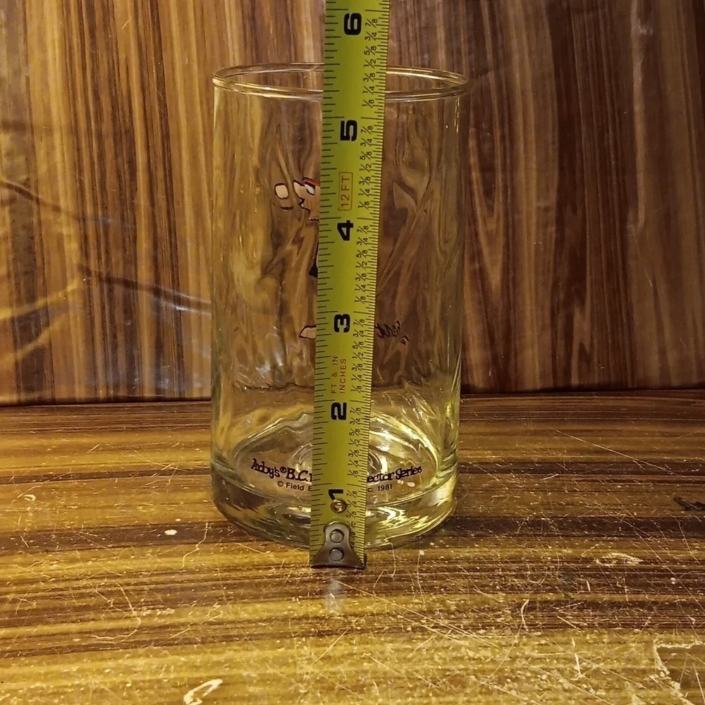 Vintage 1981 Arby's B.C. Ice Age Collectors cup glass